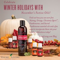 November's featured products